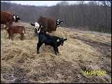 copy_of_100_0525